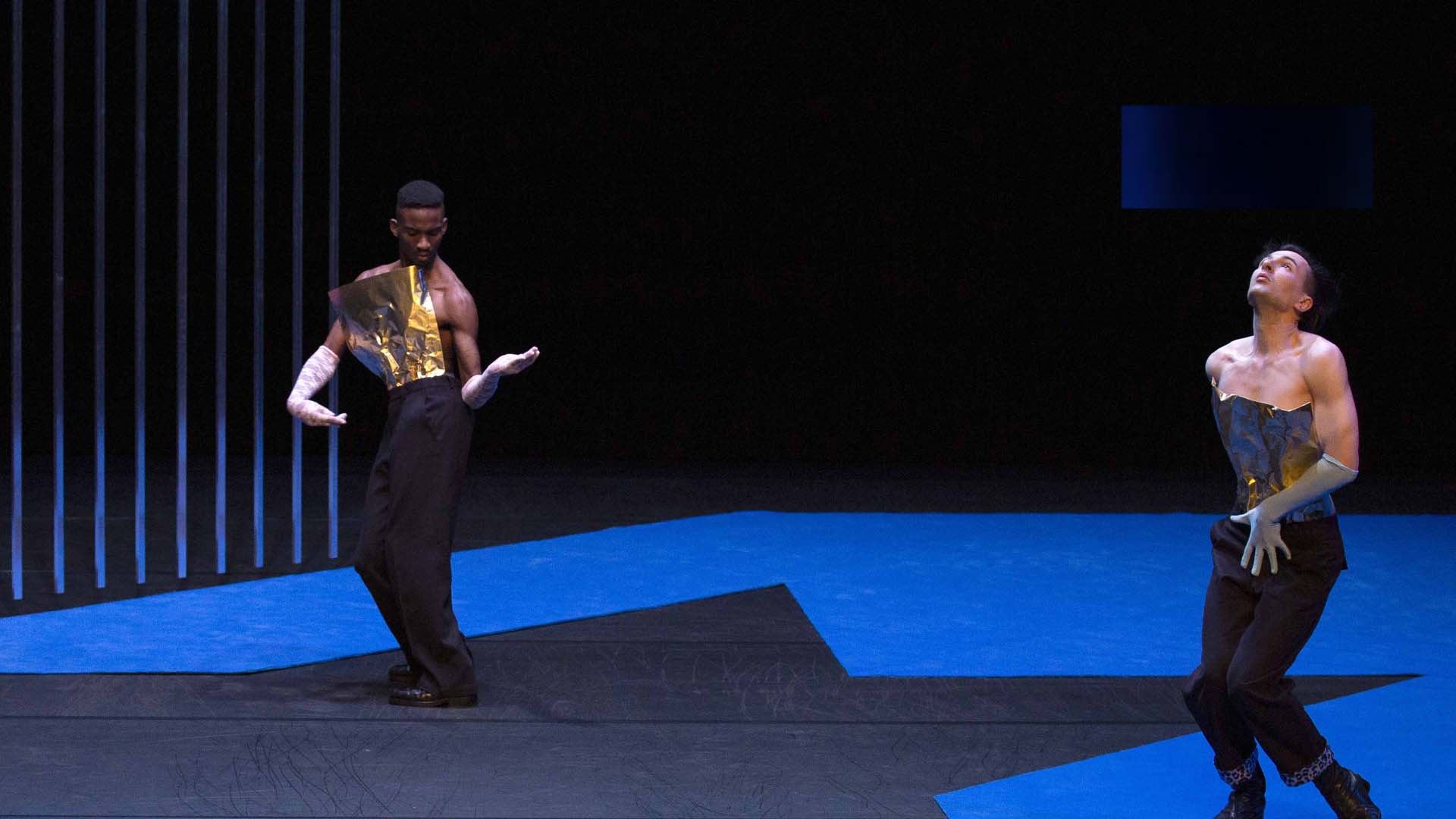 Quinzaine de la Danse 2026 : "All Over Nymphéas" à l'Espace 110 à Illzach