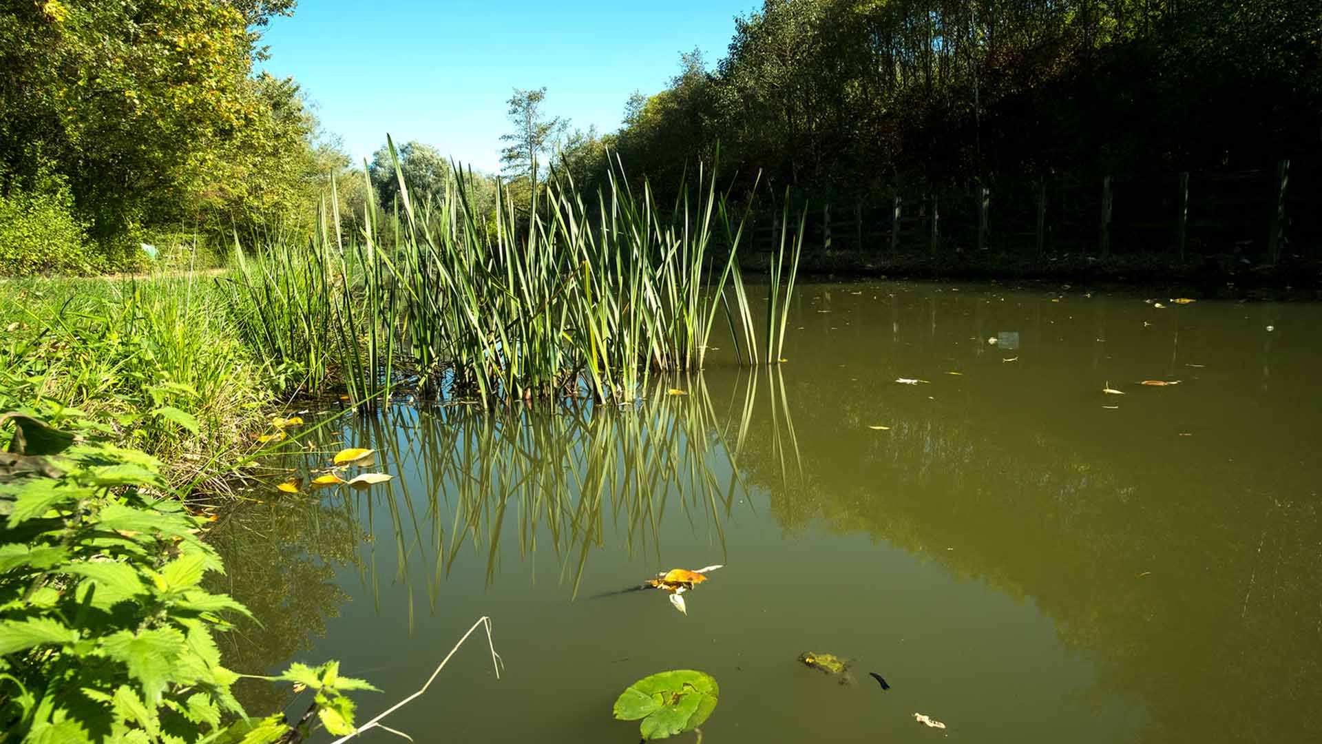 Journées de l’Association Européenne des Zoos et Aquariums (EAZA) au Parc Zoologique & Botanique