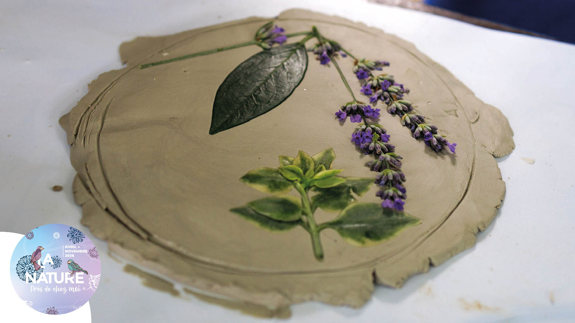 Sortie "Botanique en famille" à Bollwiller