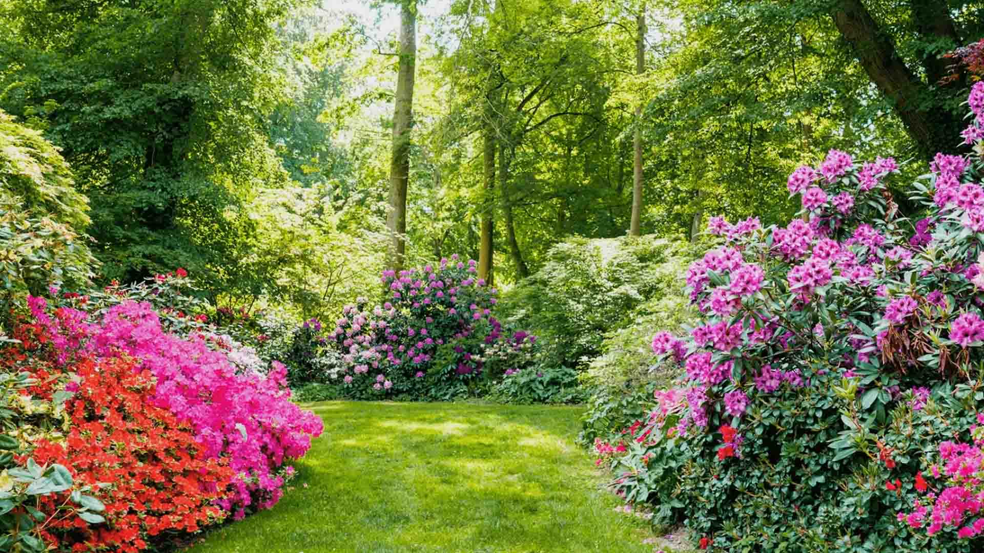 Parc Zoologique & Botanique de Mulhouse