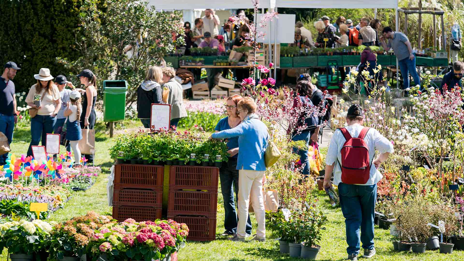 Temps forts printaniers 2026 au Parc Zoologique & Botanique de Mulhouse