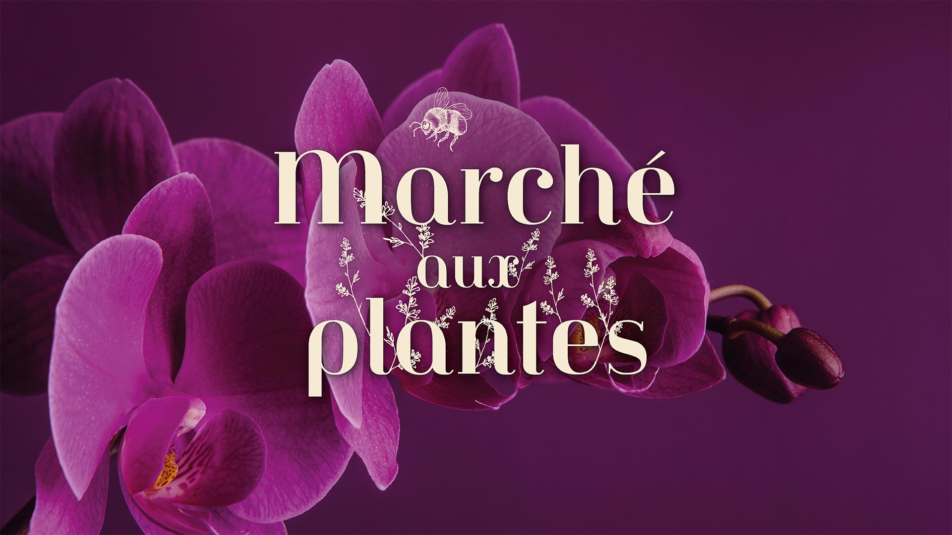 Visuel "Marché aux plantes" au Parc Zoologique & Botanique de Mulhouse