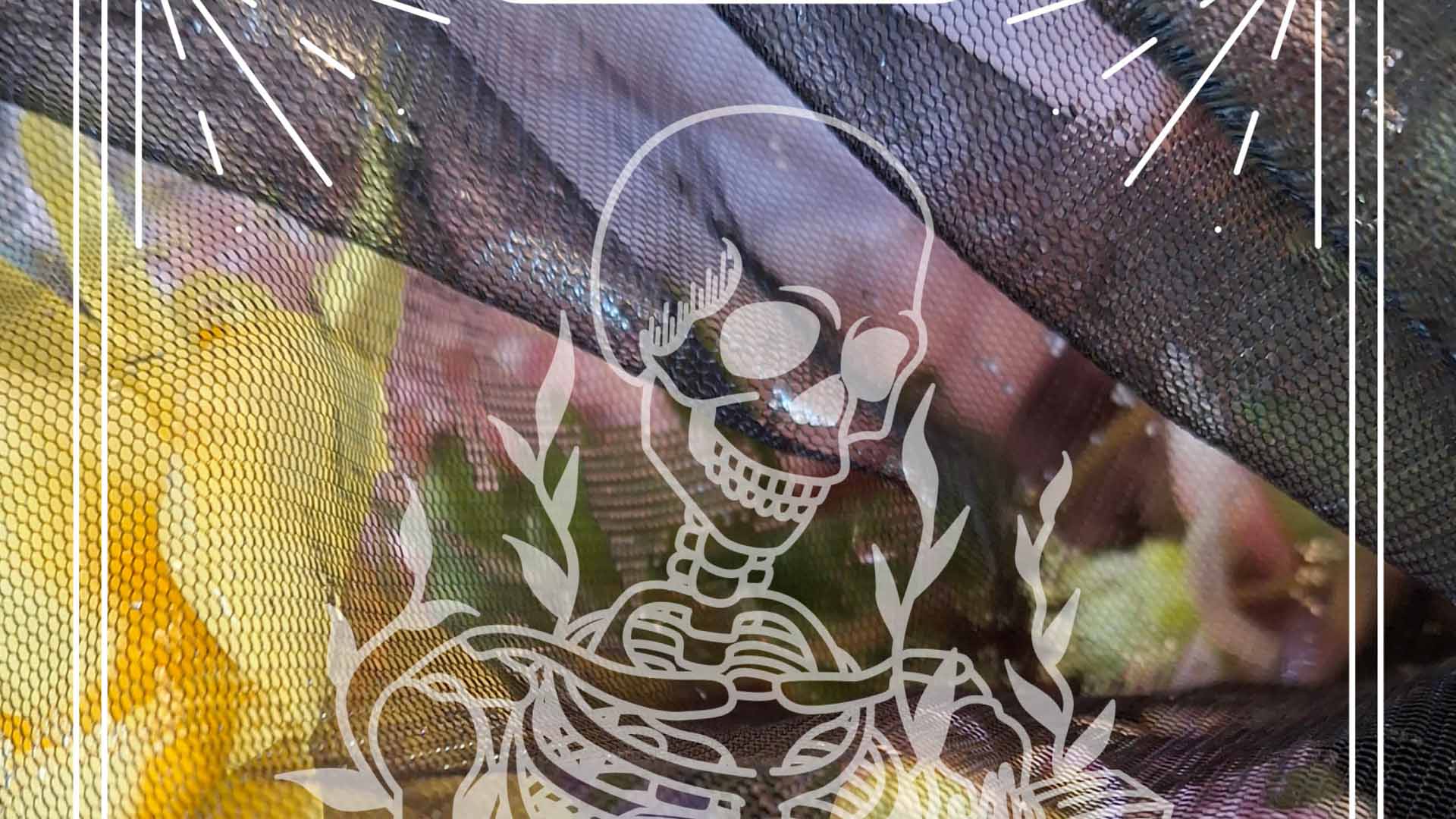 Ophélie : Rêver peut-être !