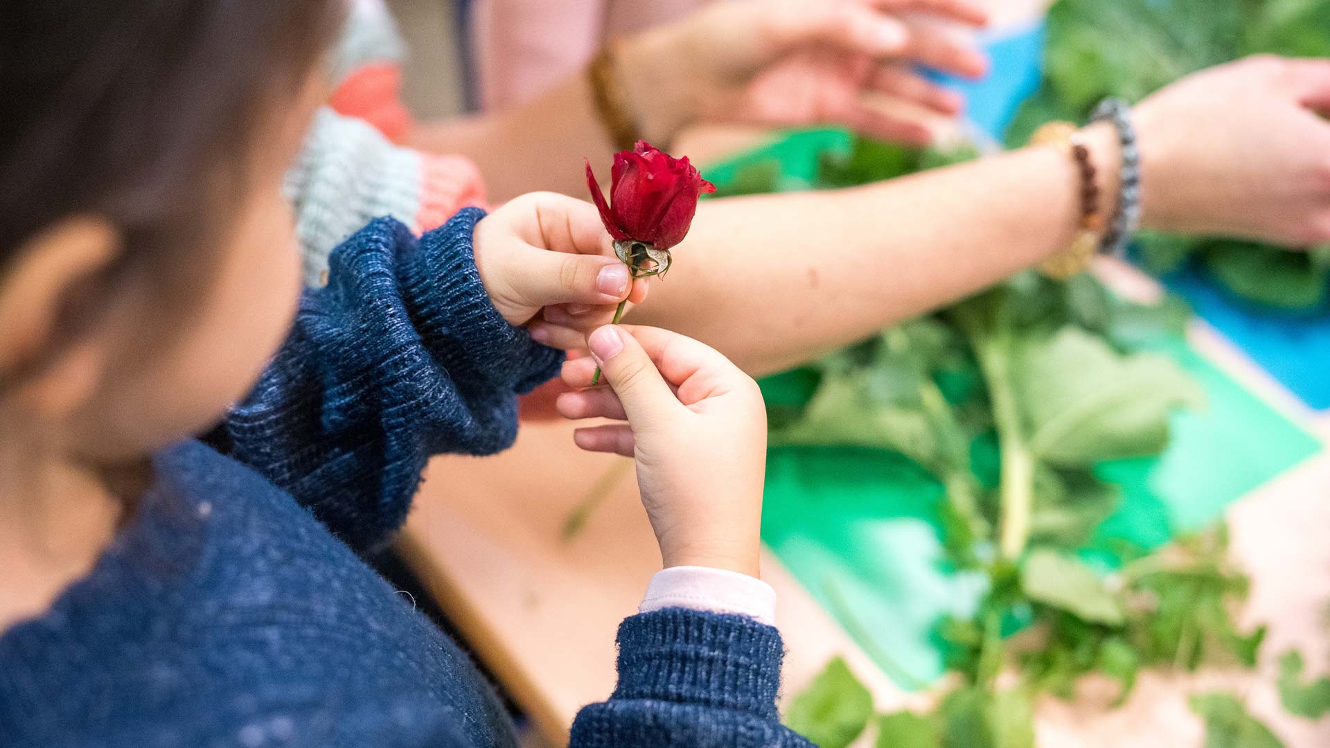 Activité pédagogique - périscolaire m2A