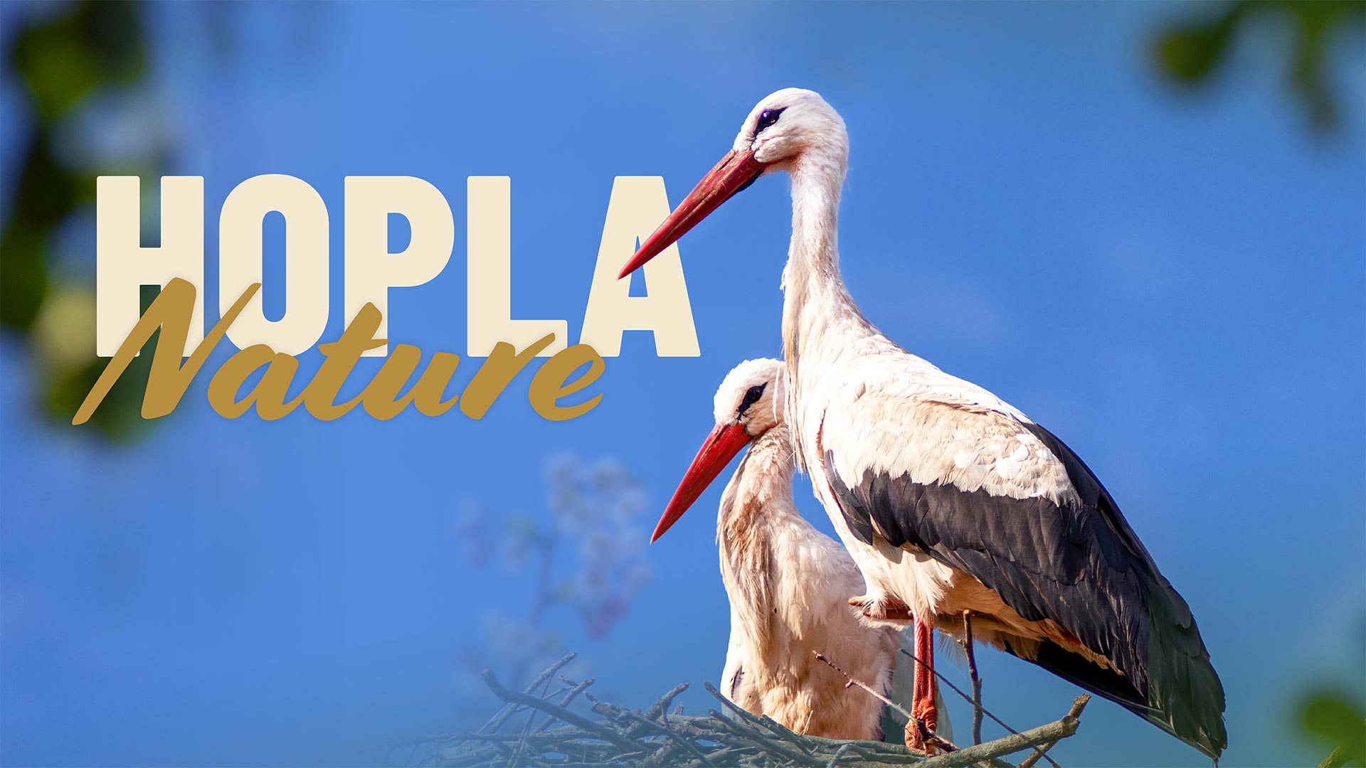 Hopla Nature au Parc Zoologique & Botanique de Mulhouse