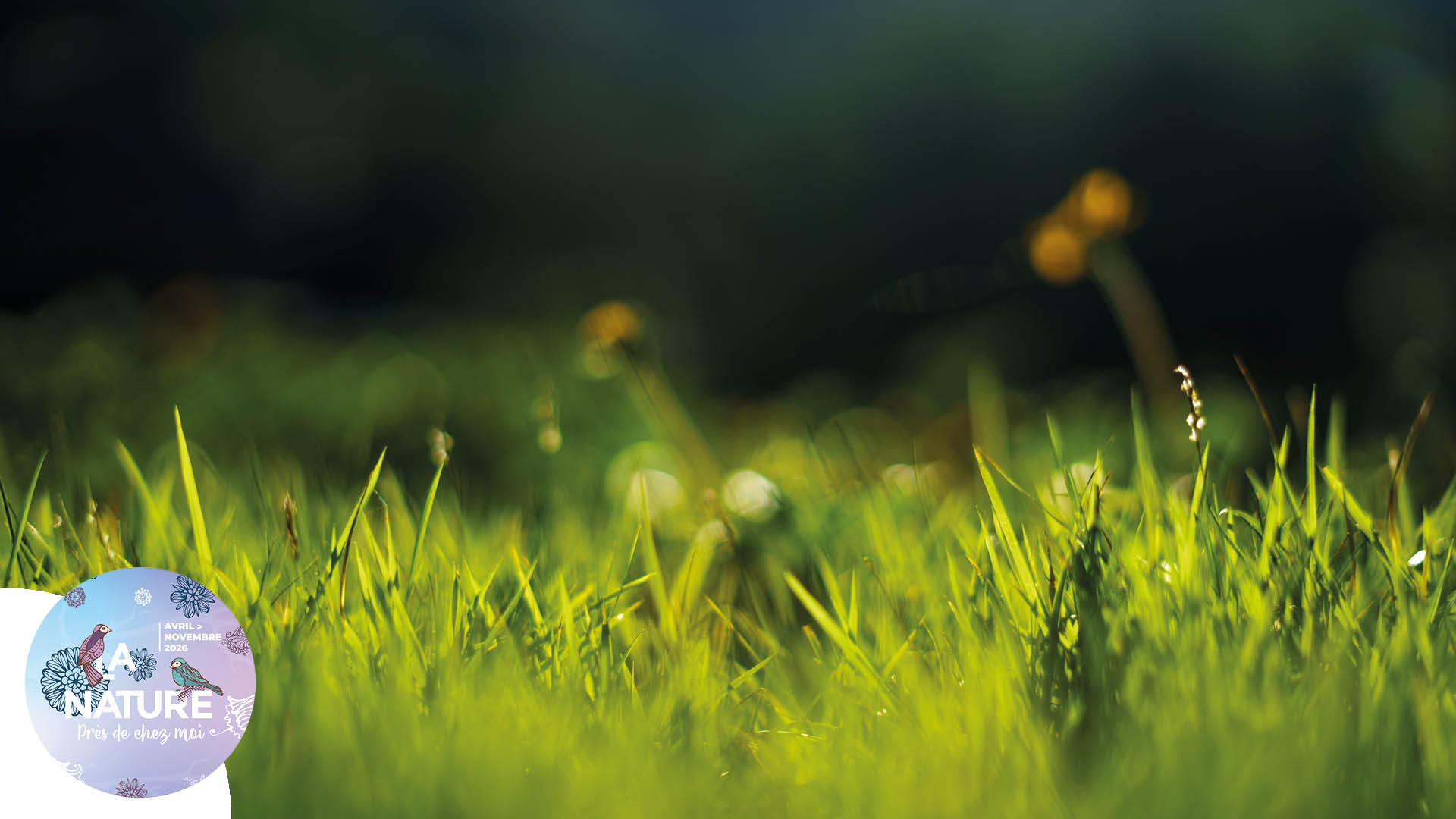 Sortie "Contes et légendes les pieds dans l’herbe !" à Petit-Landau