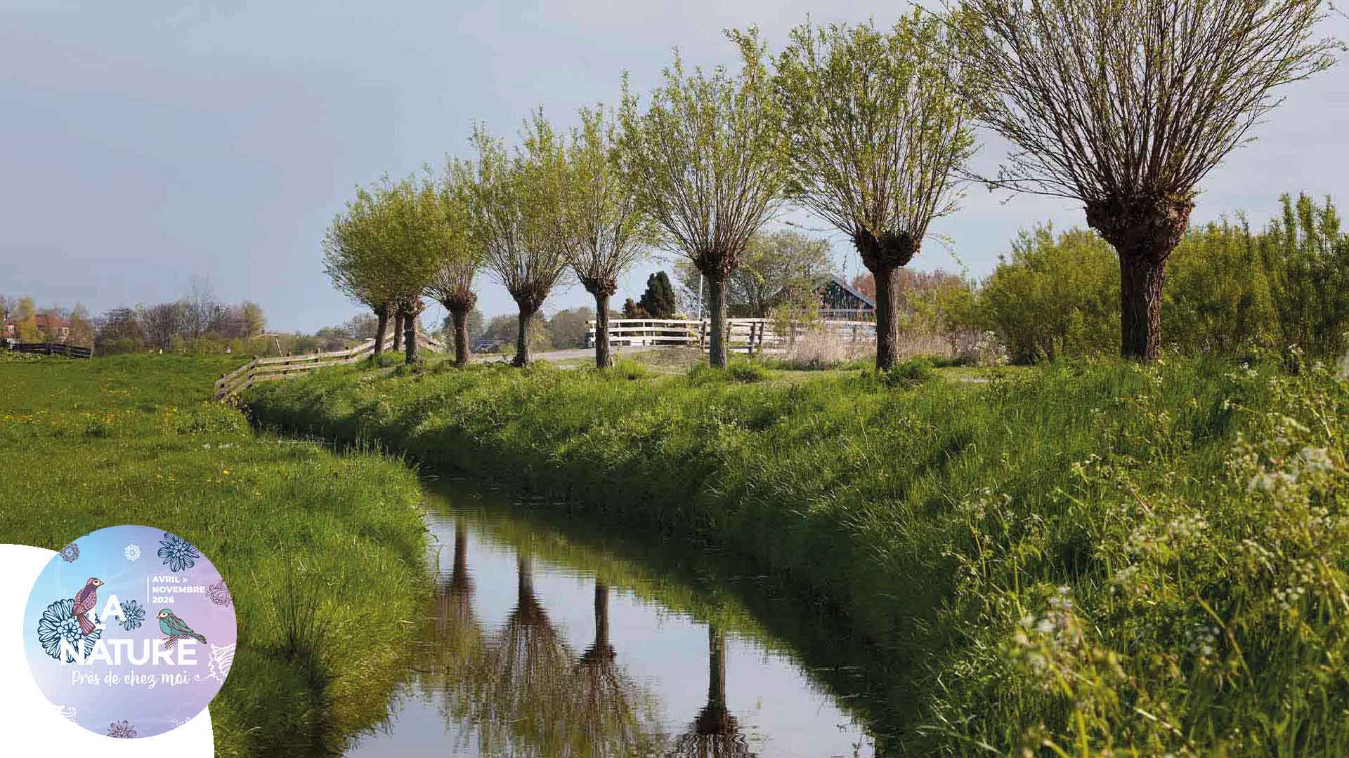 Sortie "Au cœur des berges de l’Ill" à Illzach