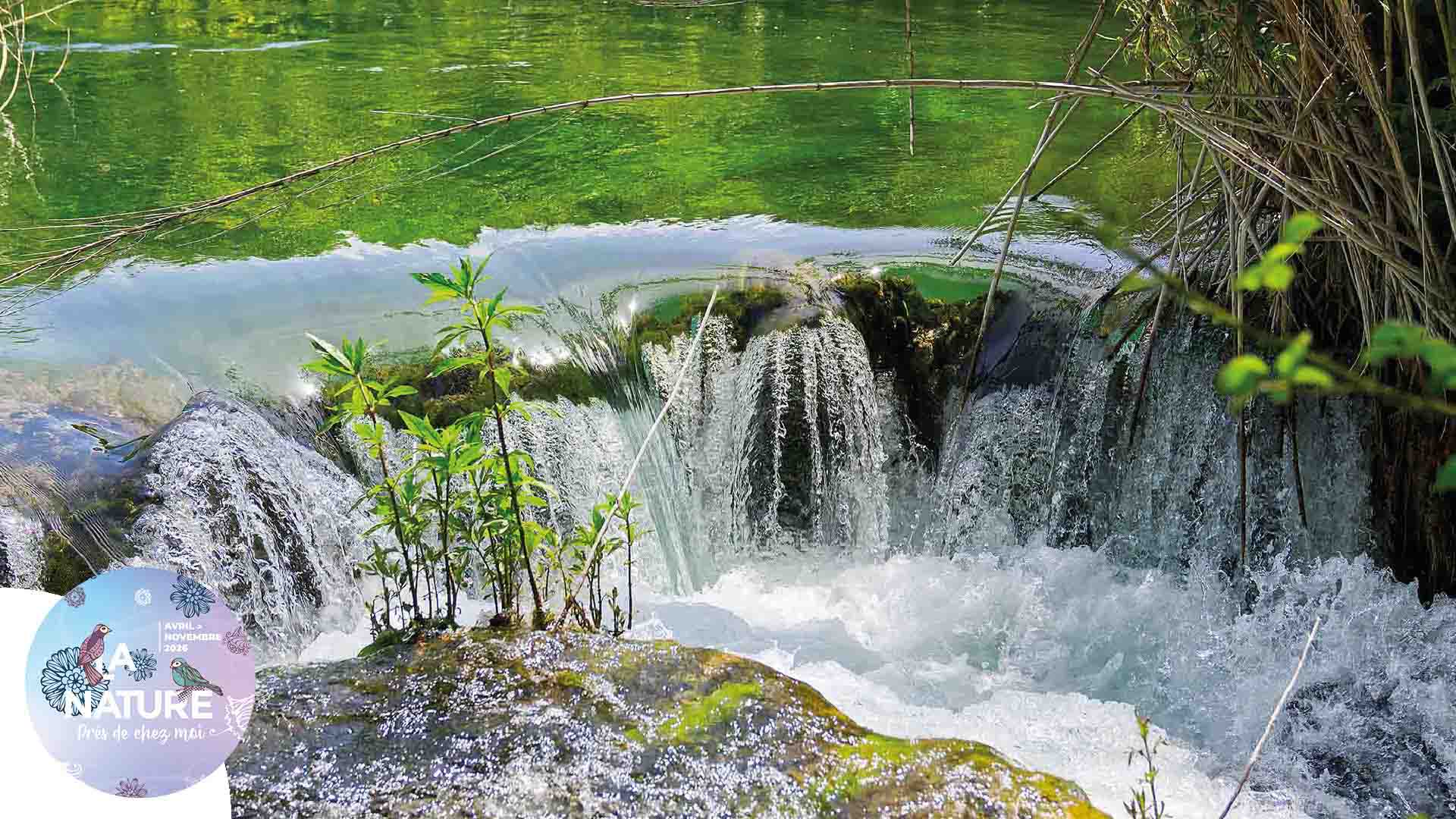 Sortie "Un peu d’eau, beaucoup de vie !" à Richwiller