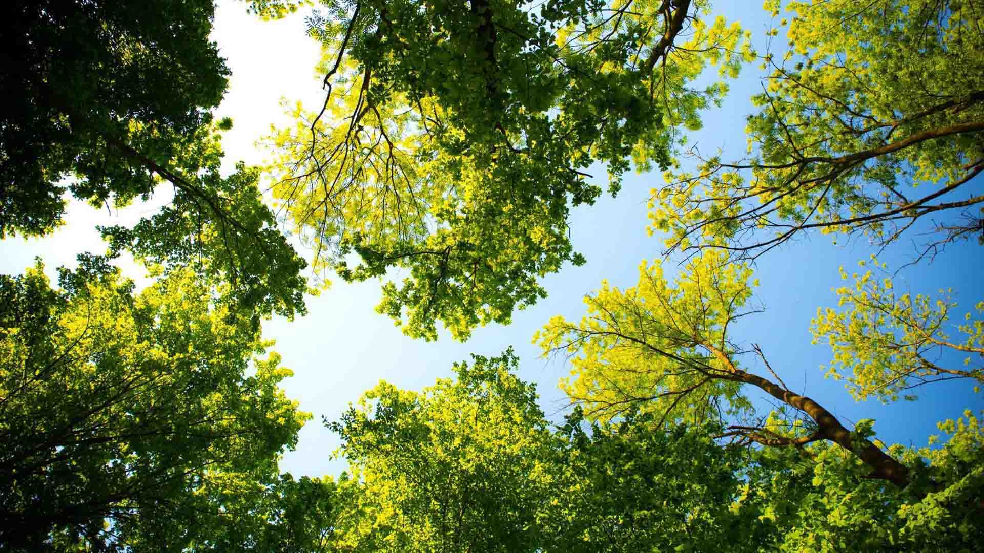 Les Jeudis du Parc 2026 au Parc Salavator à Mulhouse