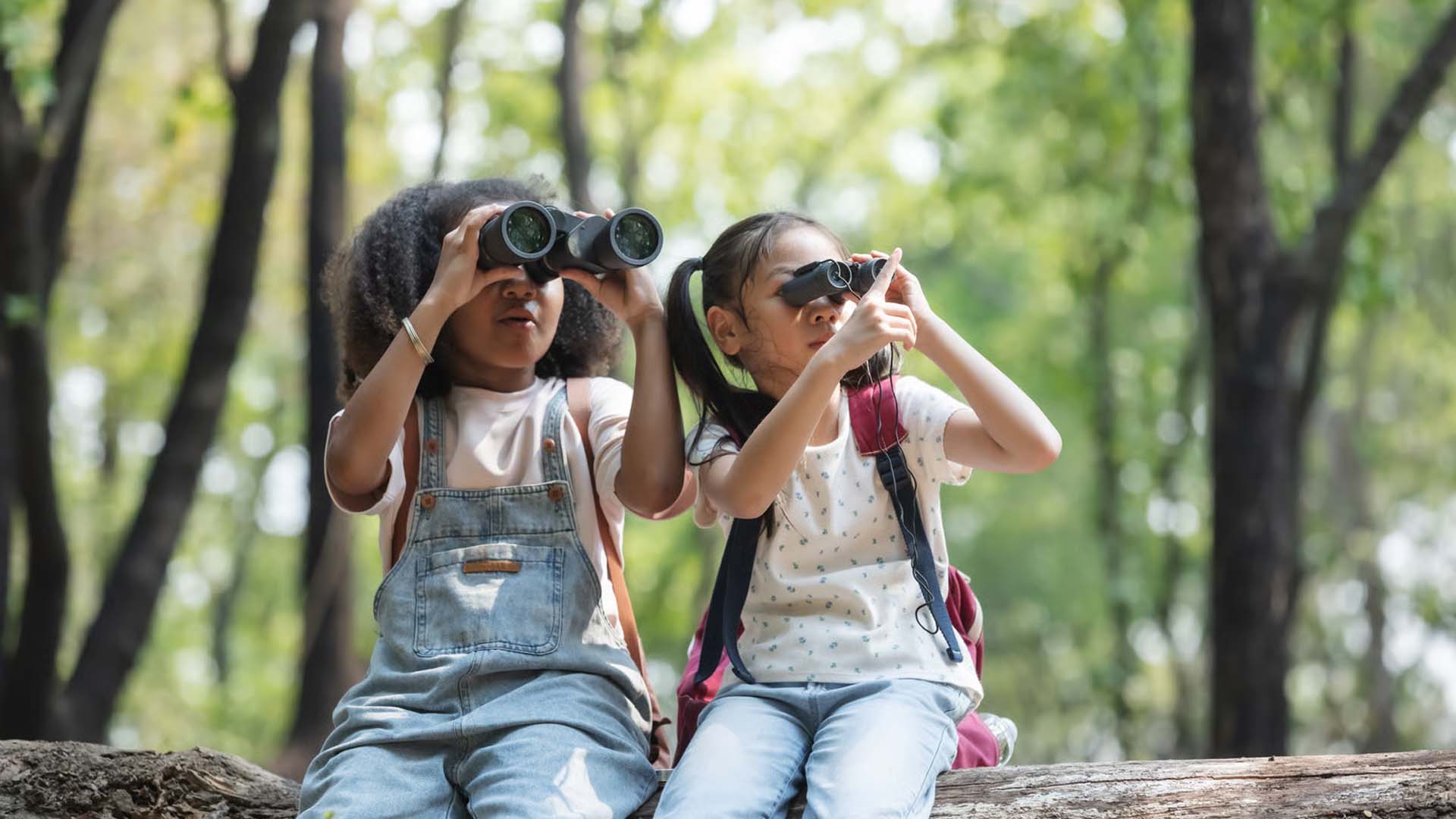 Enfants utilisant des jumelles