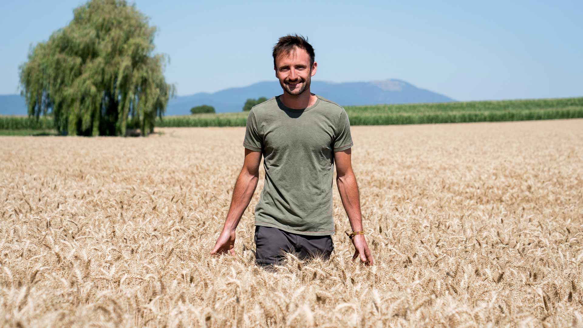 Thomas Dietsch, agriculteur dans les champs de l'Abbaye d'Oelenberg