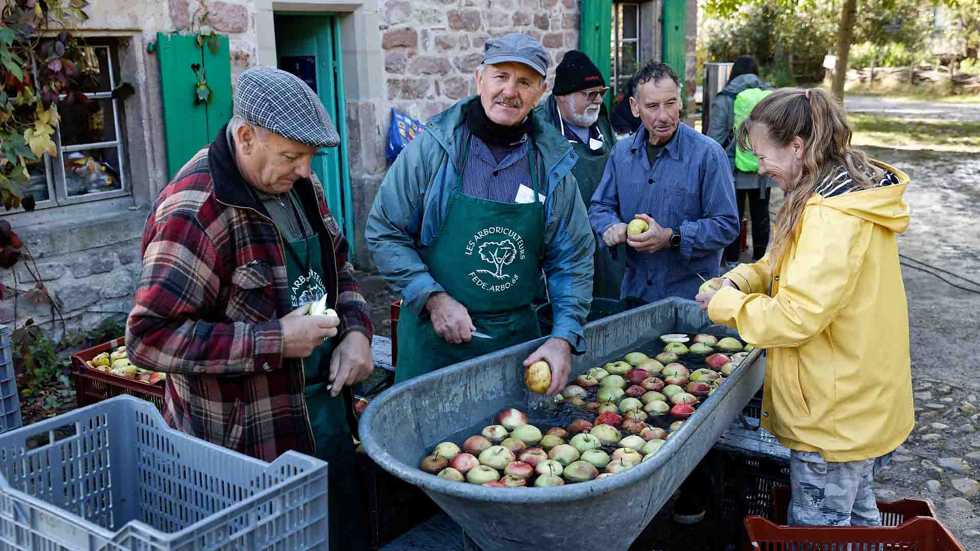 "Au nom de la pomme" à l'Écomusée d'Alsace