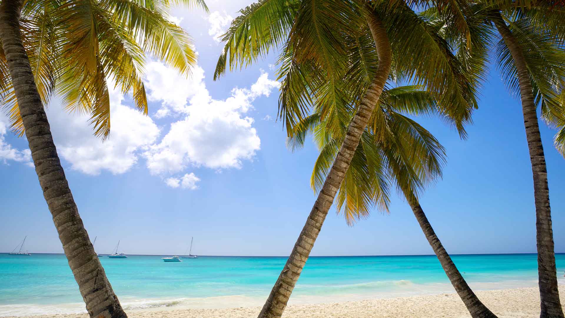 Plages des Caraïbes