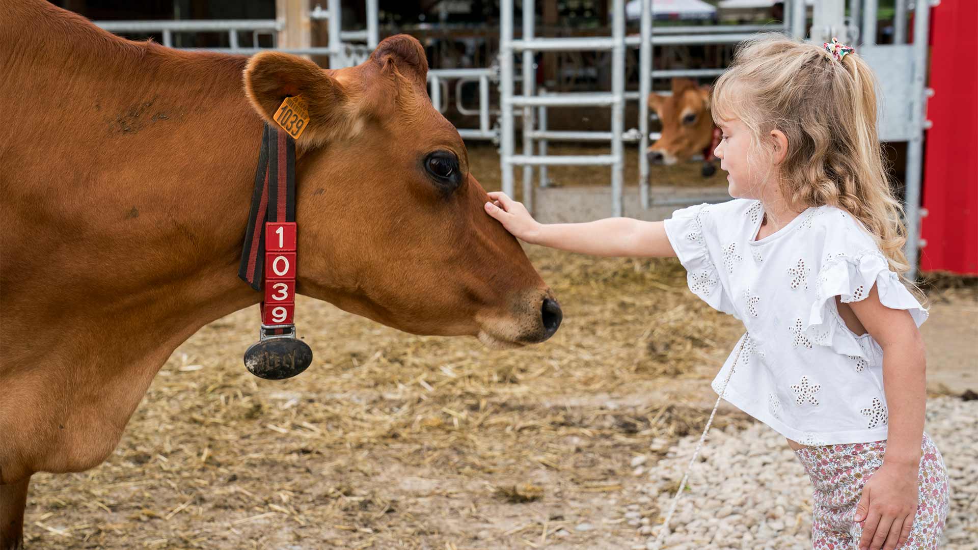 Enfant à la ferme et une vache