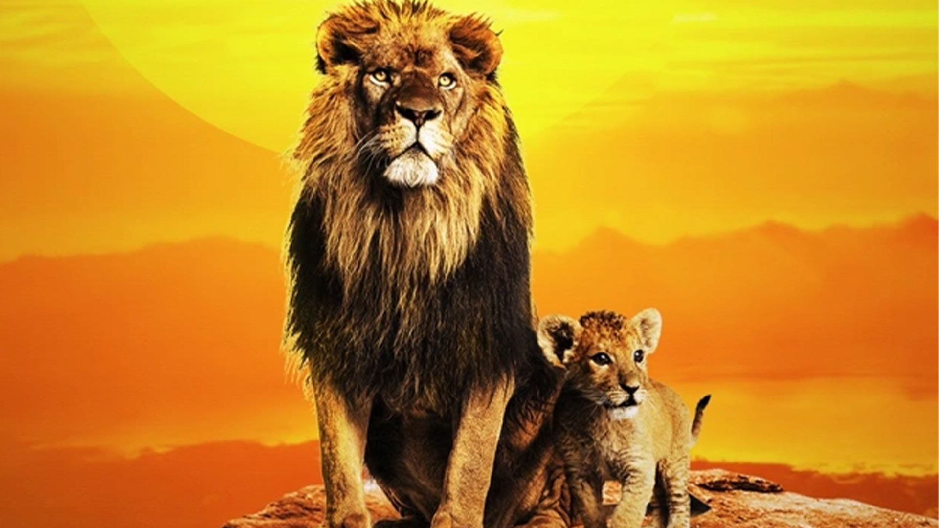 La musique du Roi Lion