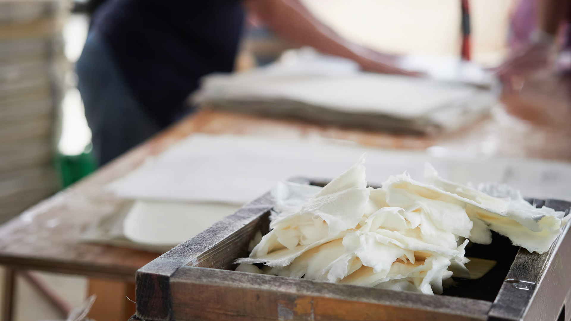 Atelier « Fabriquez votre papier recyclé » à Mulhouse SERD