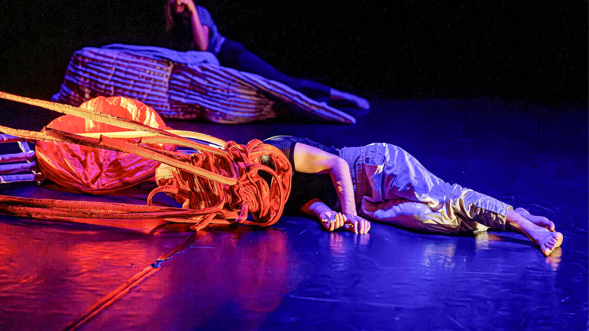 Quinzaine de la Danse 2027 : "Un dimanche en compagnie" à l'Espace 110 à Illzach